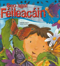 Seo agat Féileacáin