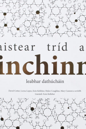 Aistear Tríd an Inchinn