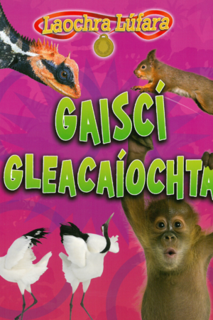 Laochra Lúfara: Gaiscí Gleacaíochta