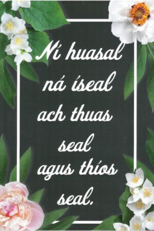 A3 Poster: Ní hUasal ná Íseal