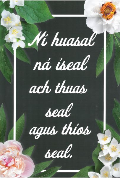 A3 Poster: Ní hUasal ná Íseal