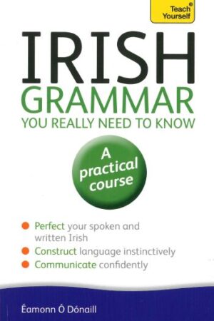 Irish Grammar You Really Need to Know