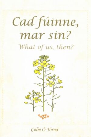 Cad fúinne mar sin? What of us then?