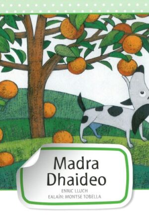 Madra Dhaideo (Cosa Beaga)