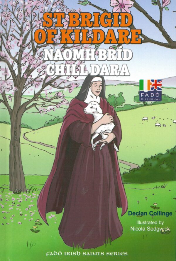 Fadó: Naomh Bríd Chill Dara / St Brigid of Kildare