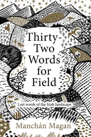 Thirty Two Words for Field: Lost words of the Irish landscape