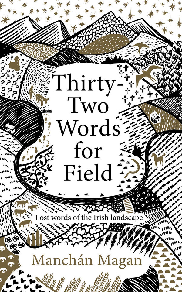 Thirty Two Words for Field: Lost words of the Irish landscape