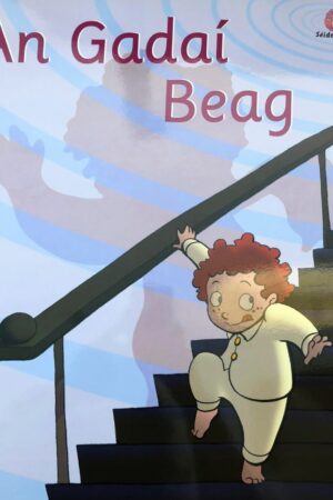 An Gadaí Beag (Big Book)