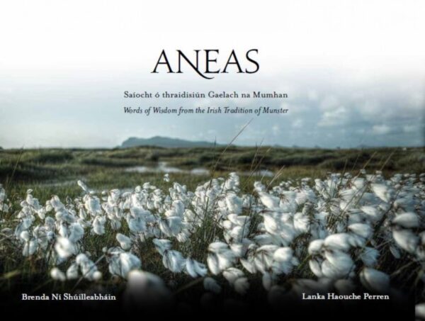 Aneas - Words of Wisdom from the Irish Tradition of Munster