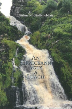 An Craiceann agus a Luach (Eagrán Gaeilge)