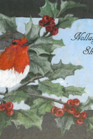 Nollaig Shona – Spideog (Glencairn – Pack of 5 cards)