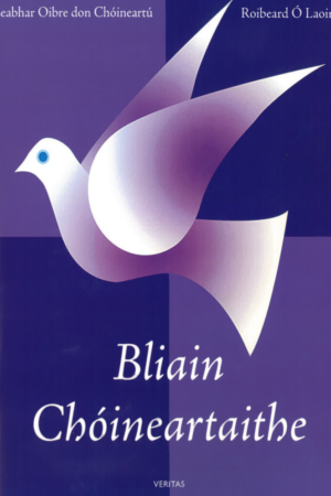 Bliain Chóineartaithe - Leabhar Oibre don Chóineartú / Workbook for Confirmation Preparation