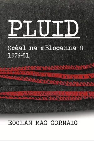 Pluid – Scéal na mBlocanna H 1976-81