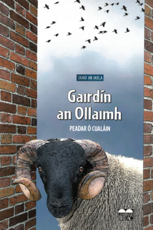 Gáirdín an Ollaimh  (Sráid an Iarla - Leabhar 2)