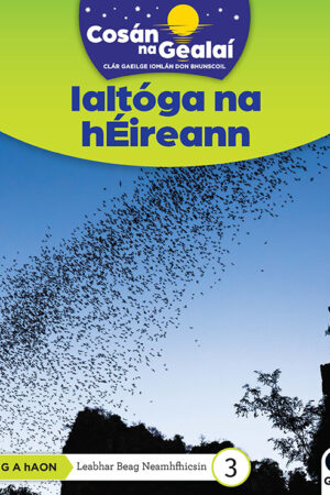 Cosán na Gealaí (Rang 1) – Leabhar 3 Neamhfhicsean – Ialtóga na hÉireann