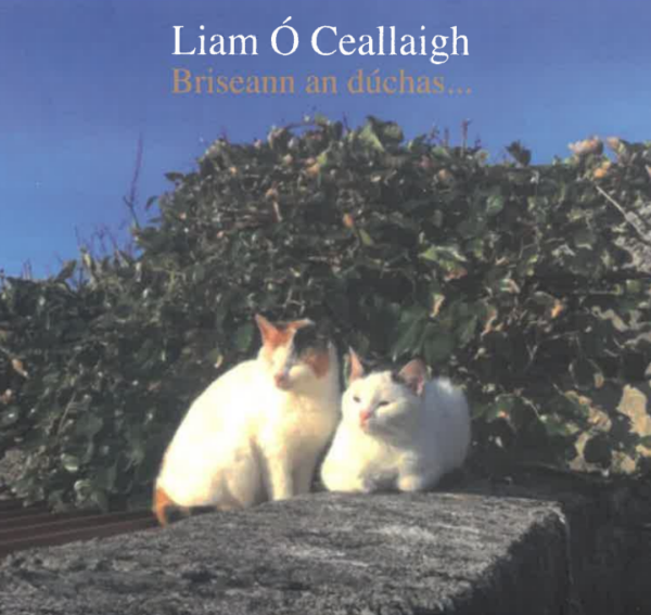 Briseann an Dúchas (CD by Liam Ó Ceallaigh)