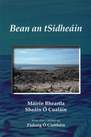 Bean an tSidheáin