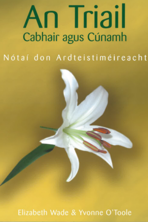 An Triail – Cabhair agus Cúnamh – Nótaí don ardteistiméireacht