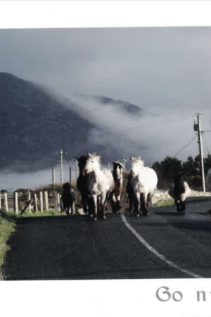 Go n-éirí leat (capaill ar an mbóthar)