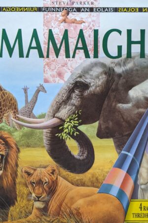 Fuinneoga an Eolais – Mamaigh