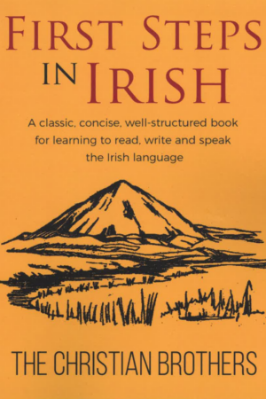 First Steps in Irish