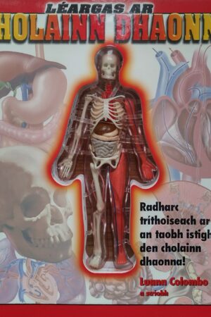 Léargas ar an Cholainn Dhaonna (The Human Body)