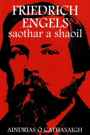 Friedrich Engels - Saothar a Shaoil