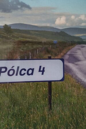 Pólca 4 – Albam Phólca 4 – dlúthdhiosca