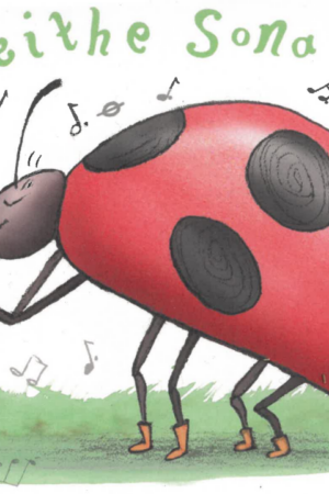 Lá Breithe Sona Duit (ladybird with whistle)