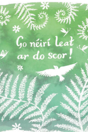 Go n-éirí leat ar do scor