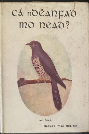 Cá ndéanfad mo Nead? [crua] (ar athláimh)