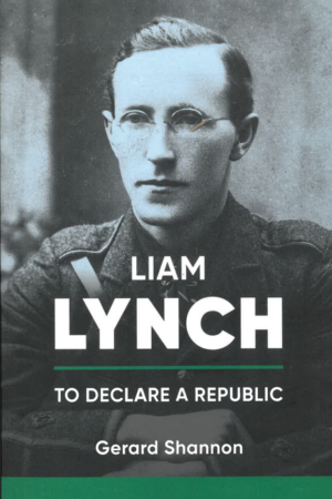 Liam Lynch - To Declare a Republic