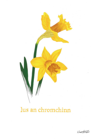 Prionta A4 – Lus an chromchinn (Nine Arrow)