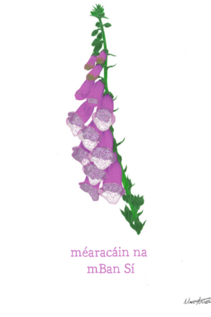 Print – A4 – Méaracáin na mBan Sí (Nine Arrow)