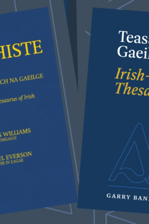 Tacar Teasáras – Set of Two Irish Thesauruses (Teasáras Gaeilge–Béarla and Stórchiste)