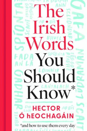 The Irish Words You Should Know and how to use them every day